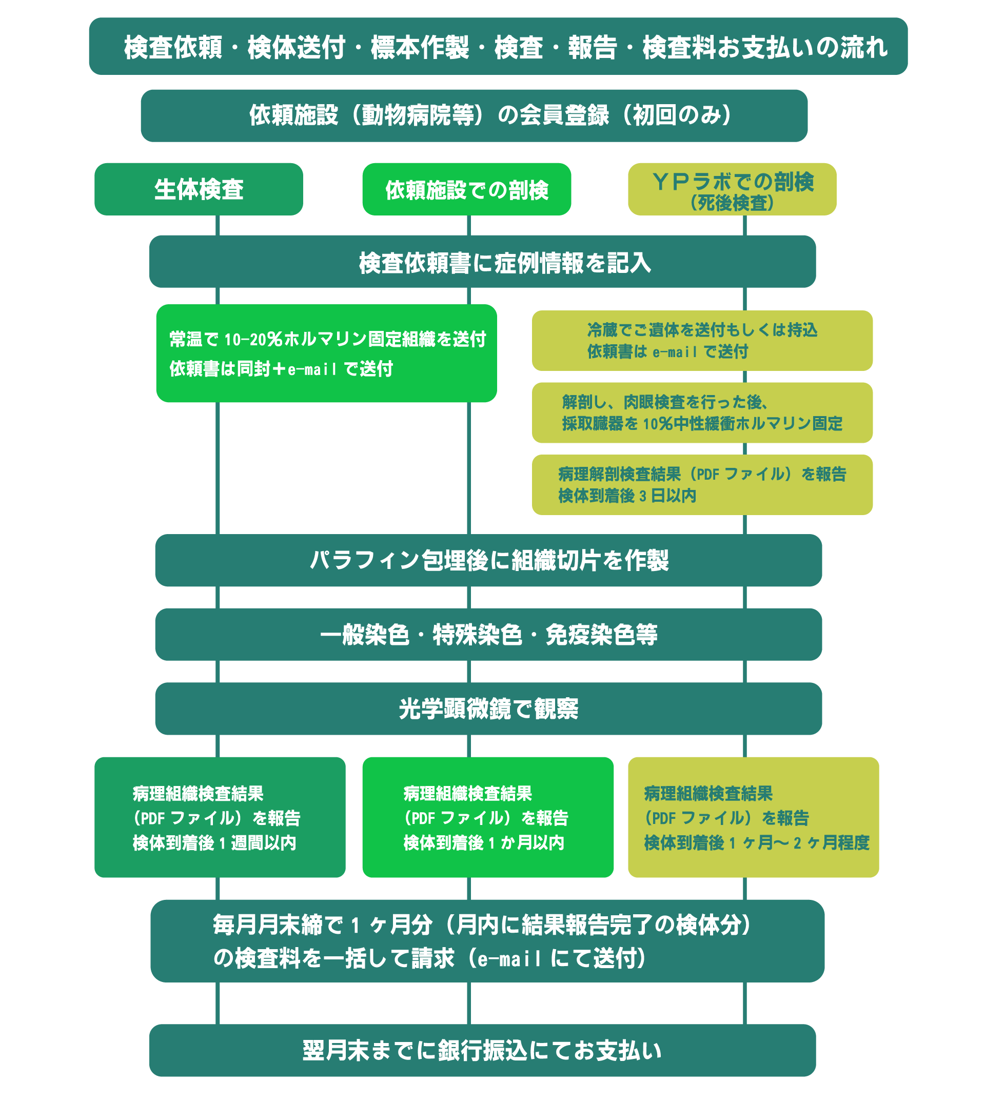 手順